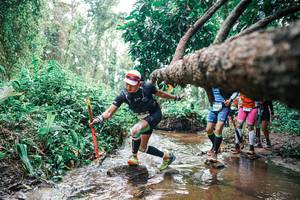 BIB: 
                            <button type="button" onclick="openModal(25374614)" class="btn btn-primary btn-sm float-right btn-popup" data-toggle="modal" data-target=".modal-high-quality">
                        <i class="fas fa-shopping-cart"></i> Add to Cart
                    </button>
                                            <button type="button" onclick="isThisMe(25374614, true)" class="btn btn-success btn-sm float-right btn-popup btn-isme hidden" data-toggle="tooltip" data-placement="bottom" title="นี่คือรูปของคุณใช่ไหม คลิกที่นี่เพื่อเอาเข้าอัลบั้ม">
                        <i class="fas fa-plus"></i> Add to album
                    </button>
                    <button type="button" onclick="isThisMe(25374614, false)" class="btn btn-warning btn-sm float-right btn-popup btn-isnotme hidden">
                        <i class="fas fa-ban"></i> Remove from album
                    </button>